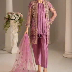 Raw Silk Fabric Suit with Embroidered Boring Style Net Gown, Box Pleats Inner & Net Dupatta ( 4 PCS)